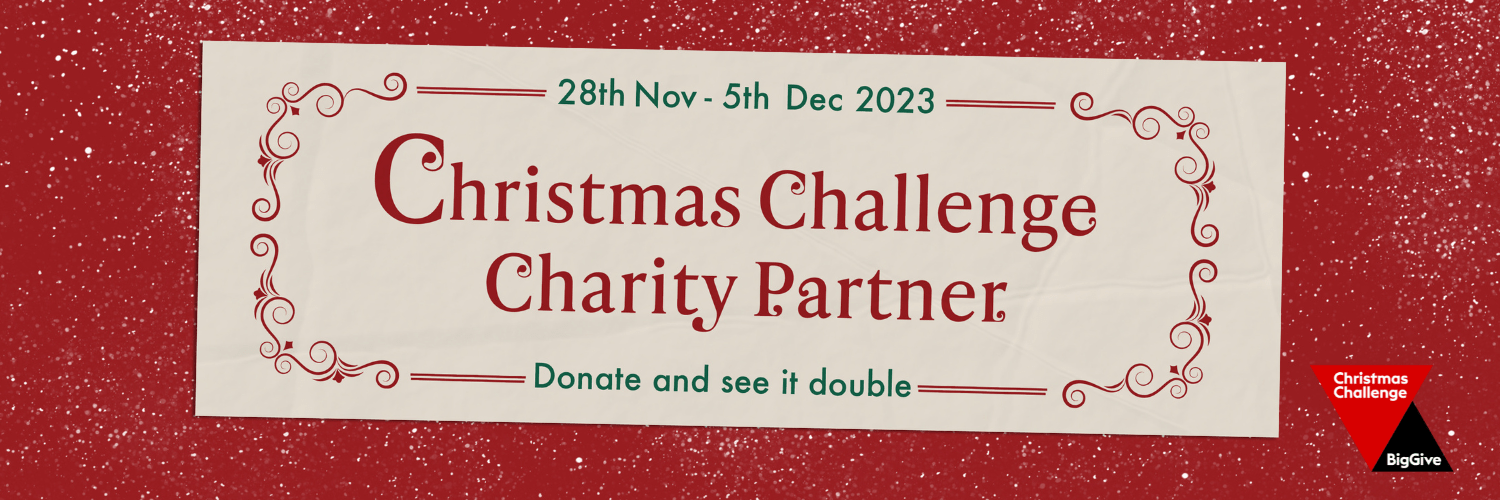 Big Give Header Banner The Big Give 2023 Christmas Challenge Banner